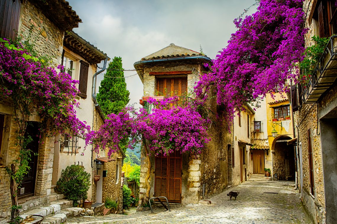 Southern France Photography Tour